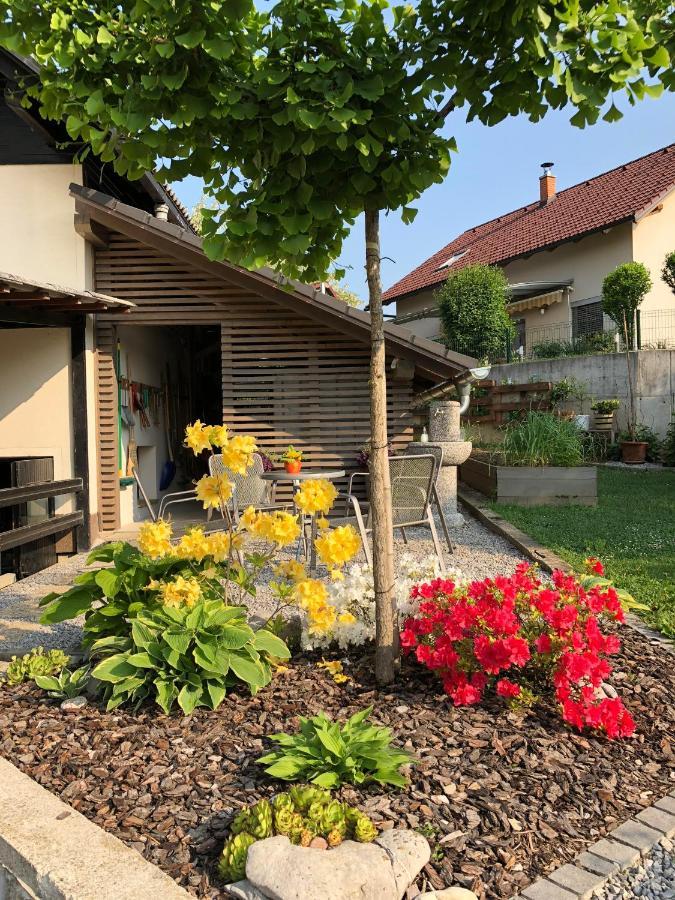 Apartma Nomad Novo Mesto Dış mekan fotoğraf